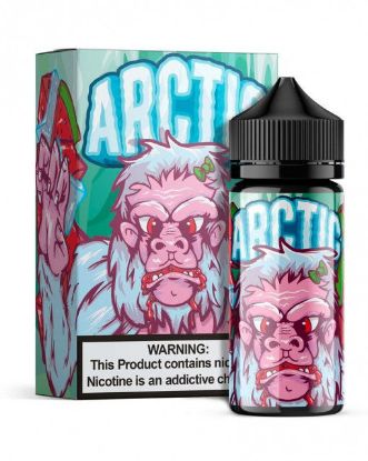 Picture of Arctic Wicked Watermelon 120ml